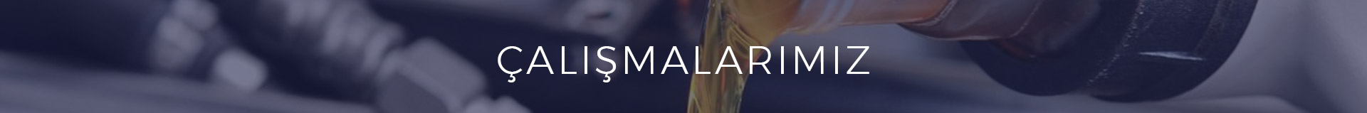 Alternate Text